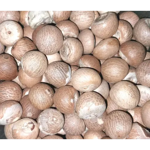 Arecanut