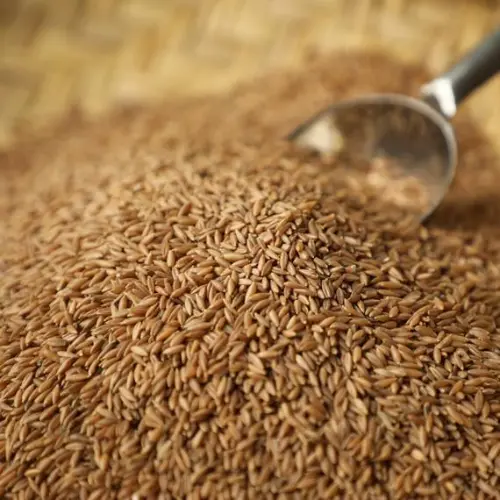Bamboo Rice