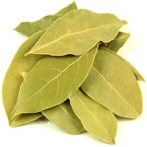 Bay Leaf