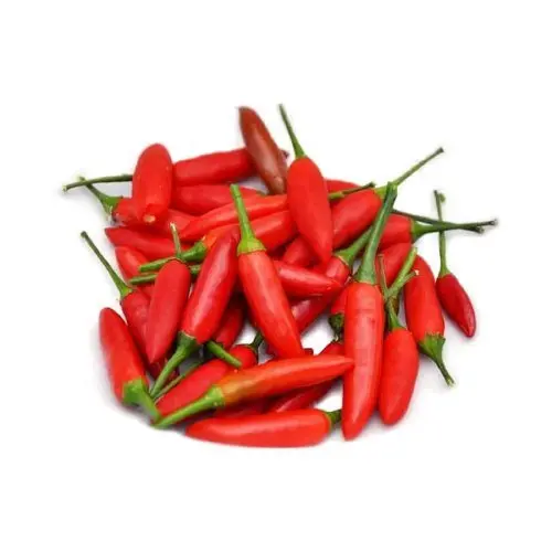 Bird Eye Chili