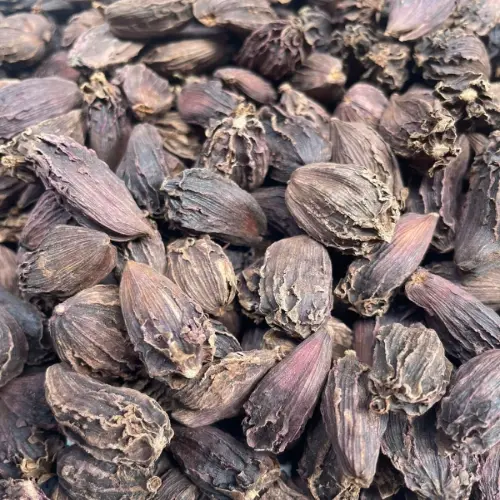 Large Cardamom