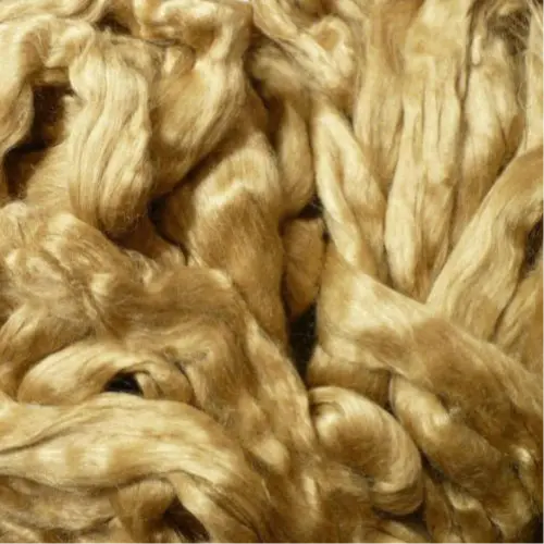 Muga Silk
