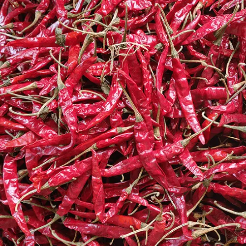 Teja Chili