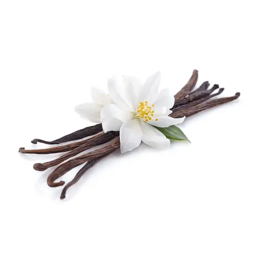 Vanilla