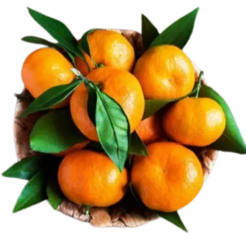 Wakro Orange