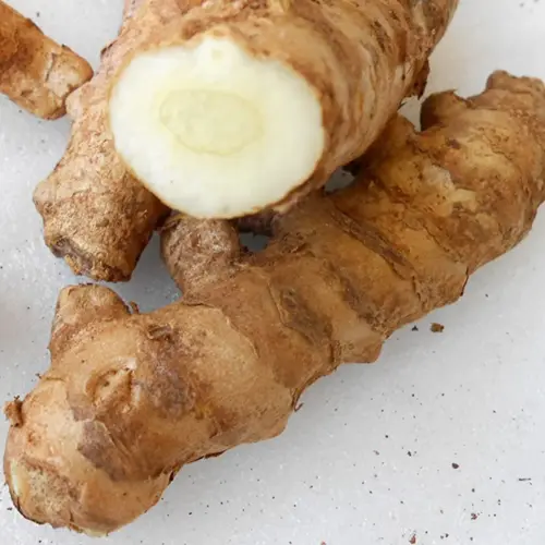 Wild Turmeric