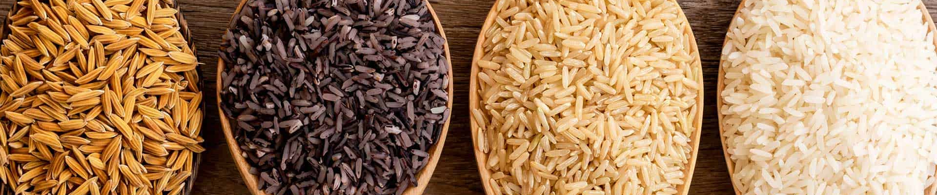 Rice
